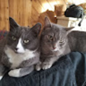 Meet your Posher, Sophie